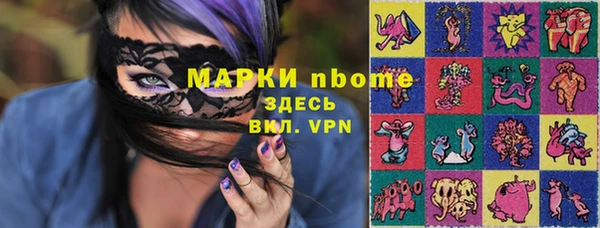 прущий лед Алзамай