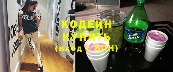 прущий лед Алзамай